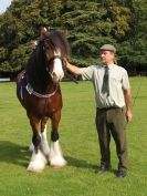 Image 3 in SUFFOLK  HORSE  SPECTACULAR. (HEAVY  HORSE  BREEDS)