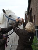Image 7 in EQUINE VETTING AND DENTISTRY DEMO. SUFFOLK SHOWGROUND 25 OCT. 2014