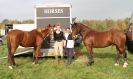 Image 17 in PICTURES FOR EQ LIFE FROM BARNHAM BROOM HUNTER TRIAL 30 OCT 2014