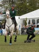 Image 1 in HORSE BOARDING.  EA GAME & COUNTRY FAIR APRIL 2015