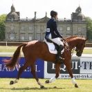 Image 19 in BURGHLEY YOUNG EVENT HORSE 4 YO AT HOUGHTON INTERNATIONAL  2015