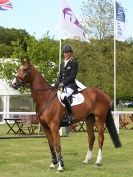 Image 4 in BURGHLEY YOUNG EVENT HORSE 5 YO AT HOUGHTON INTERNATIONAL  2015
