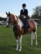 Image 23 in AUTUMN HORSE SHOW  TRINITY PARK. 12 SEPT. 2015