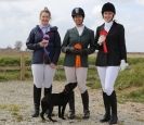Image 1 in DRESSAGE AT MARTHAM. THE ROSETTES.