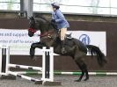 Image 24 in WORLD HORSE WELFARE. SHOW JUMPING. 12 DEC. 2015