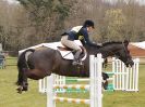 Image 1 in GT WITCHINGHAM INT. 24 MARCH 2016 SHOW JUMPING NOVICE SECTION E.