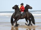 Image 1 in FRIESIANS ON HOLKHAM BEACH. 15 MAY 2016