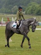 Image 12 in HOUGHTON INTL. 2016. BURGHLEY YOUNG EVENT HORSE 4YO SERIES.