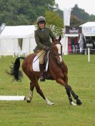 Image 19 in HOUGHTON INTL. 2016. BURGHLEY YOUNG EVENT HORSE 4YO SERIES.