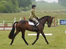 Image 28 in HOUGHTON INTL. 2016. BURGHLEY YOUNG EVENT HORSE 4YO SERIES.