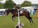 Image 3 in HOUGHTON INTL. 2016. BURGHLEY YOUNG EVENT HORSE 4YO SERIES.