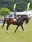 Image 30 in HOUGHTON INTL. 2016. BURGHLEY YOUNG EVENT HORSE 4YO SERIES.