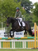 Image 9 in HOUGHTON INTL. 2016. BURGHLEY YOUNG EVENT HORSE 4YO SERIES.