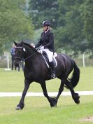 Image 9 in UNAFFILIATED DRESSAGE ON DAY 4. HOUGHTON HALL 2016