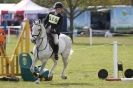 Image 19 in HOUGHTON INTERNATIONAL PONY CLUB TEAM CHALLENGE (AND SOME DOG PICS )