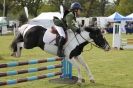 Image 9 in HOUGHTON INTERNATIONAL PONY CLUB TEAM CHALLENGE (AND SOME DOG PICS )