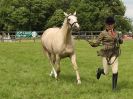 Image 1 in BECCLES AND BUNGAY RIDING CLUB. OPEN SHOW. 19 JUNE 2016. WORKING HUNTERS.