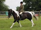 Image 11 in BECCLES AND BUNGAY RIDING CLUB. OPEN SHOW. 19 JUNE 2016. WORKING HUNTERS.