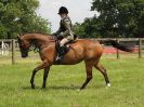 Image 13 in BECCLES AND BUNGAY RIDING CLUB. OPEN SHOW. 19 JUNE 2016. WORKING HUNTERS.