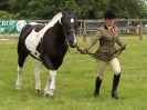 Image 21 in BECCLES AND BUNGAY RIDING CLUB. OPEN SHOW. 19 JUNE 2016. WORKING HUNTERS.