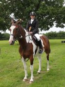 Image 29 in BECCLES AND BUNGAY RIDING CLUB. OPEN SHOW. 19 JUNE 2016. WORKING HUNTERS.