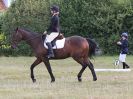 Image 1 in ADVENTURE RIDING CLUB. 4 SEPTEMBER 2016. DRESSAGE.GALLERY COMPLETE.