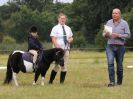 Image 18 in ADVENTURE RIDING CLUB. 4 SEPTEMBER 2016. DRESSAGE.GALLERY COMPLETE.
