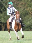 Image 26 in BECCLES AND BUNGAY RC. HUNTER TRIAL 16. OCT. 2016