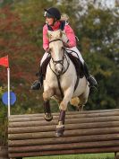 Image 8 in BECCLES AND BUNGAY RC. HUNTER TRIAL 16. OCT. 2016