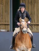 Image 29 in BECCLES AND BUNGAY RC. SHOW JUMPING 6 NOV. 2016