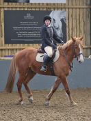Image 1 in BECCLES AND BUNGAY RC. DRESSAGE. 26 MARCH 2017