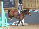 Image 10 in BECCLES & BUNGAY RC. SHOW JUMPING. 12 NOV 2017