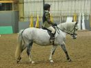 Image 7 in BECCLES AND BUNGAY RC. DRESSAGE 14 JAN. 2018