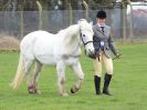 Image 2 in IPSWICH HORSE SOCIETY SPRING SHOW. 2 APRIL 2018