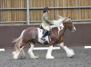 Image 10 in WORLD HORSE WELFARE. DRESSAGE. APRIL 7TH  2018