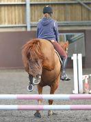 Image 8 in WORLD HORSE WELFARE. SHOW JUMPING. 21 APRIL 2018