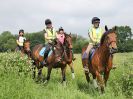 Image 3 in IPSWICH HORSE SOCIETY SPRING RIDE. 3 JUNE 2018