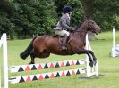 Image 14 in BECCLES AND BUNGAY RIDING CLUB OPEN SHOW. 17 JUNE 2018