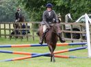 Image 15 in BECCLES AND BUNGAY RIDING CLUB OPEN SHOW. 17 JUNE 2018