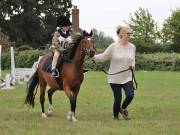 Image 1 in BECCLES AND BUNGAY RIDING CLUB. 19 AUGUST 2018