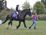 Image 14 in BECCLES AND BUNGAY RIDING CLUB. 19 AUGUST 2018