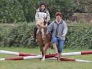 Image 27 in BECCLES AND BUNGAY RIDING CLUB. 19 AUGUST 2018