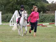 Image 29 in BECCLES AND BUNGAY RIDING CLUB. 19 AUGUST 2018