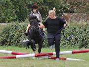 Image 4 in BECCLES AND BUNGAY RIDING CLUB. 19 AUGUST 2018