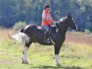 IPSWICH HORSE SOCIETY. CHARITY PLEASURE RIDE. 2ND SEPTEMBER 2018