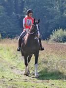 Image 10 in IPSWICH HORSE SOCIETY. CHARITY PLEASURE RIDE. 2ND SEPTEMBER 2018