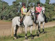 Image 20 in IPSWICH HORSE SOCIETY. CHARITY PLEASURE RIDE. 2ND SEPTEMBER 2018