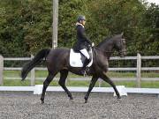 Image 12 in OPTIMUM EVENT MANAGEMENT. DRESSAGE AT GROVE HOUSE FARM. 9th SEPTEMBER 2018