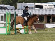 Image 16 in SOUTH NORFOLK PONY CLUB. ODE. 16 SEPT. 2018 THE GALLERY COMPRISES SHOW JUMPING, 60 70 AND 80, FOLLOWED BY 90 AND 100 IN THE CROSS COUNTRY PHASE.  GALLERY COMPLETE.