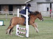 Image 27 in SOUTH NORFOLK PONY CLUB. ODE. 16 SEPT. 2018 THE GALLERY COMPRISES SHOW JUMPING, 60 70 AND 80, FOLLOWED BY 90 AND 100 IN THE CROSS COUNTRY PHASE.  GALLERY COMPLETE.